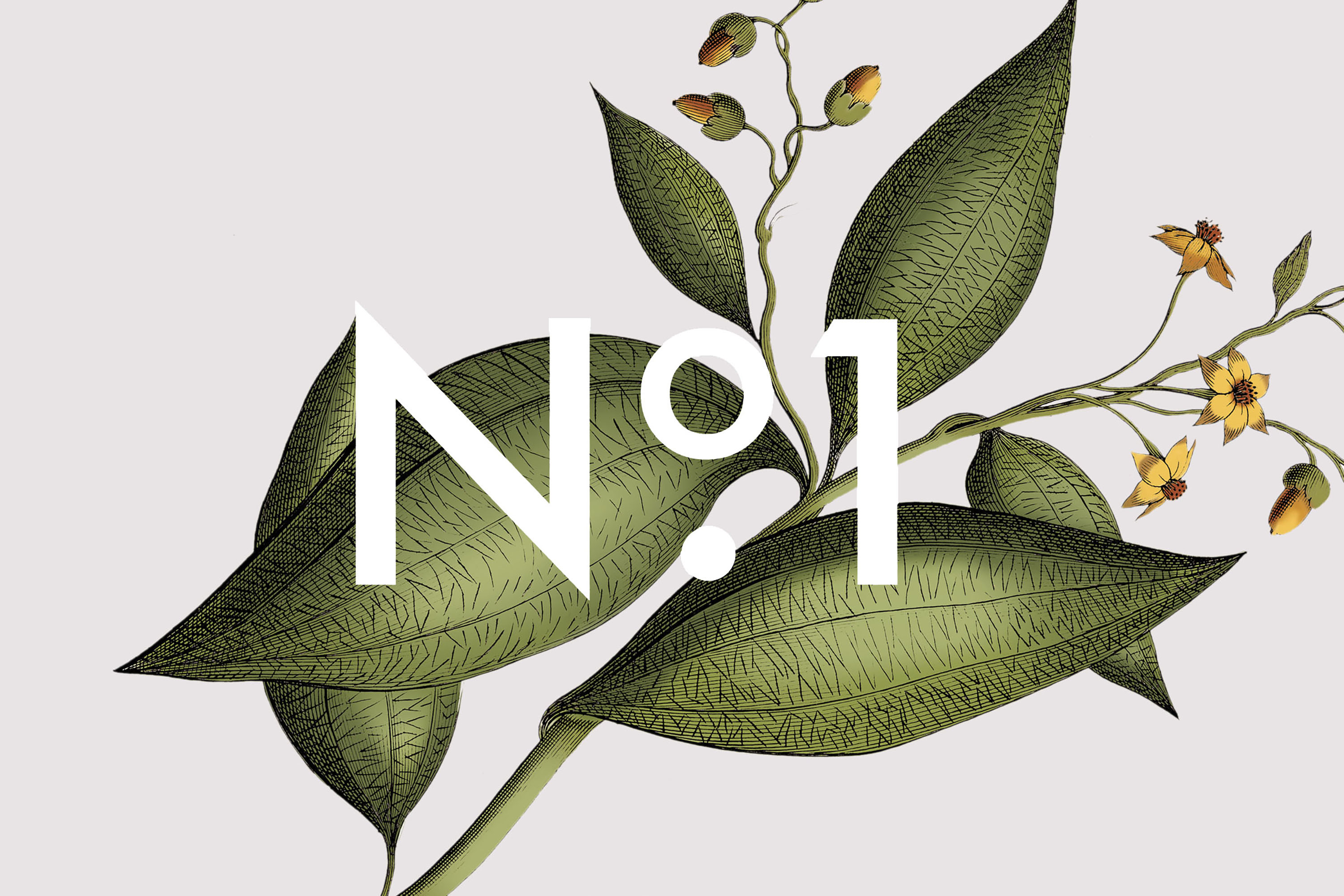 Dimitra Chrona Halva in a Jar schema design halva in a jar packaging 7