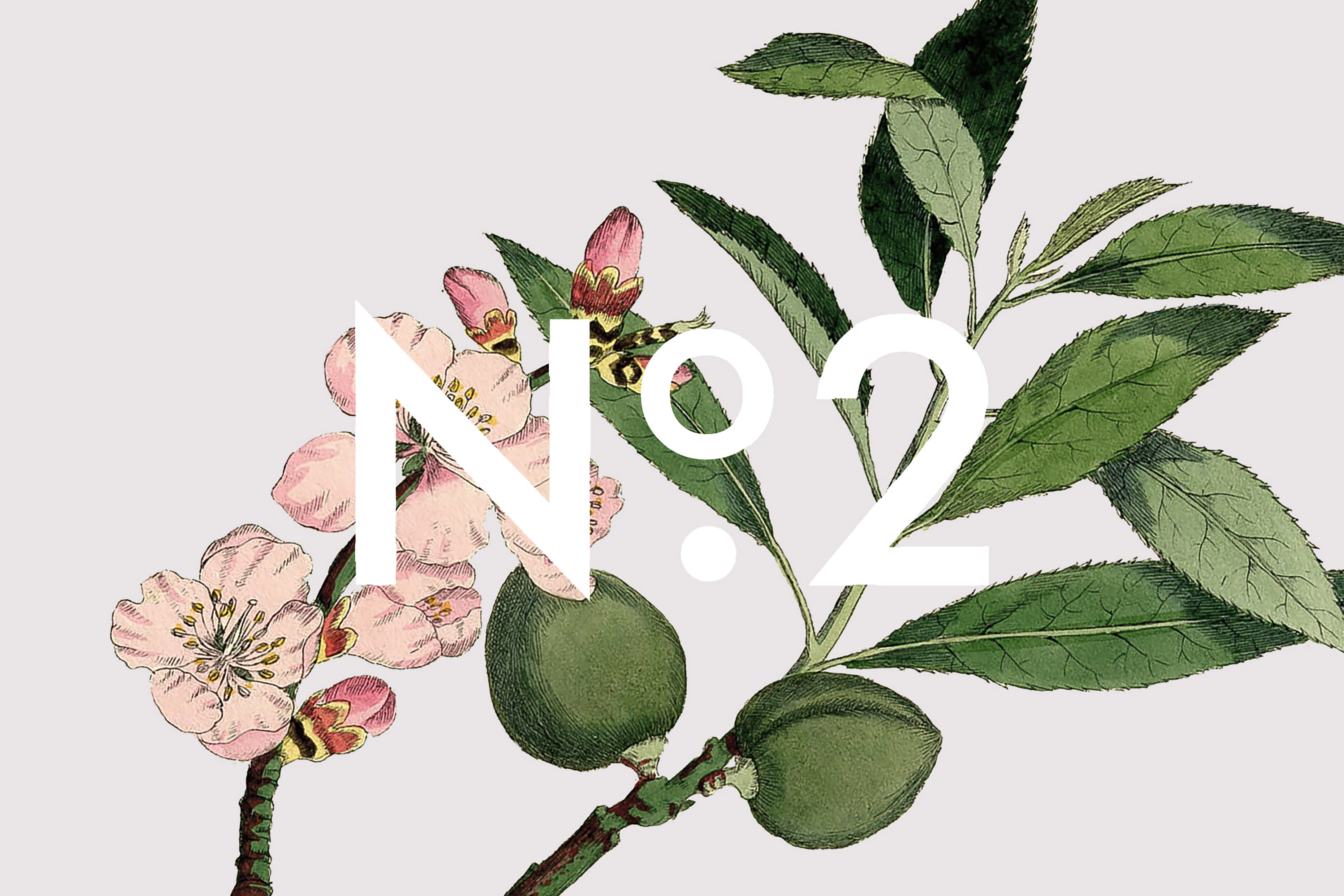 Dimitra Chrona Halva in a Jar schema design halva in a jar packaging 8