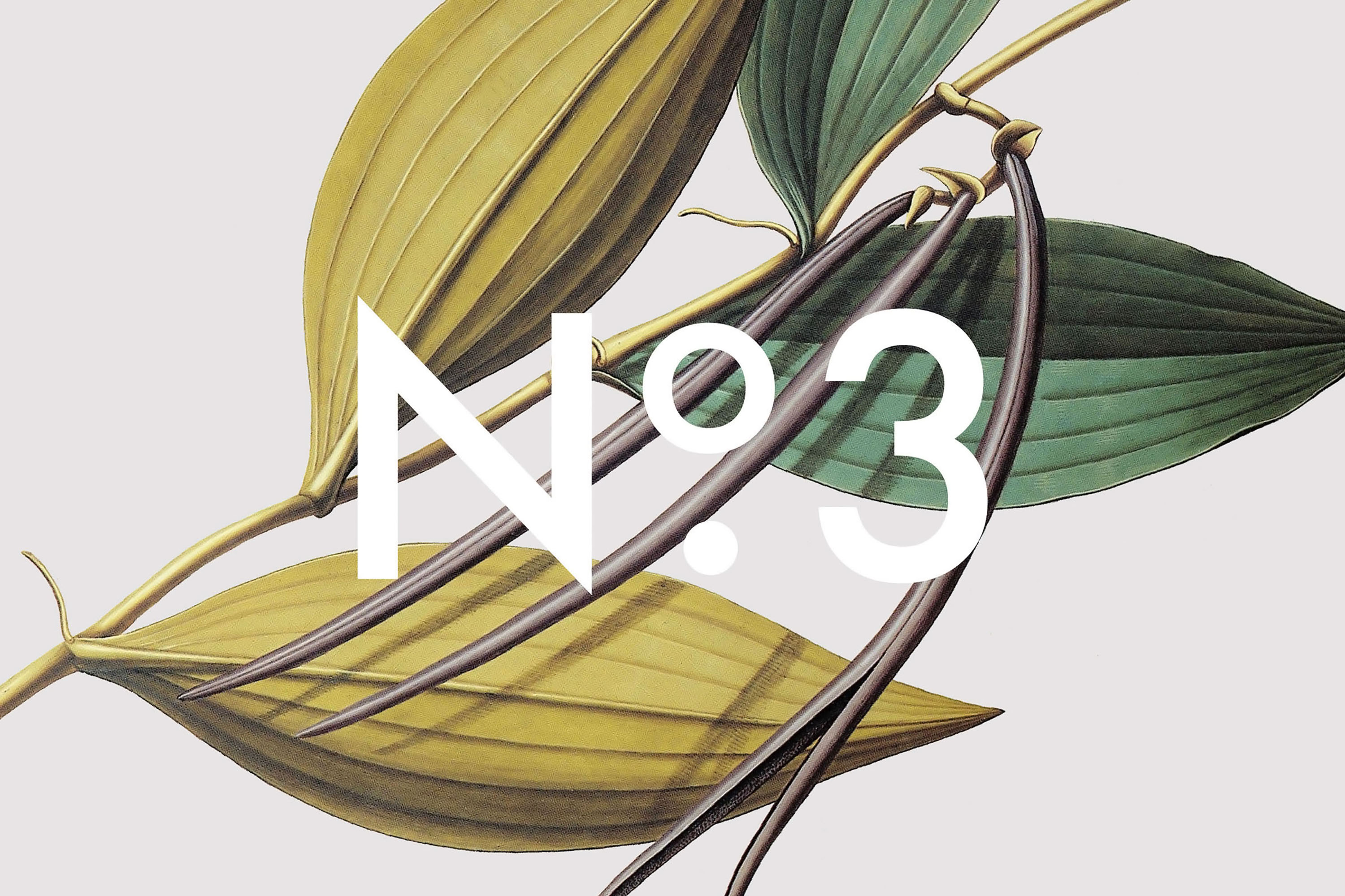 Dimitra Chrona Halva in a Jar schema design halva in a jar packaging 9