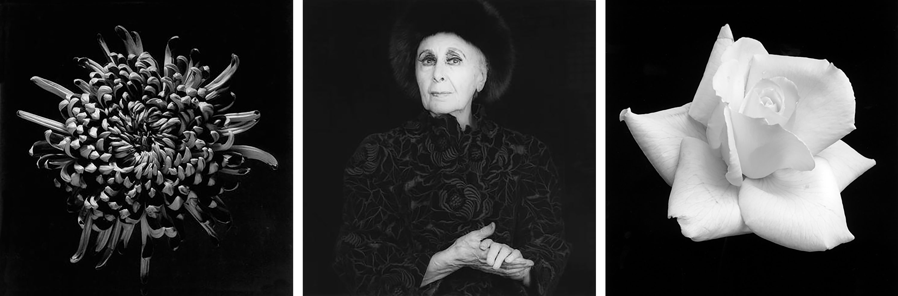 Dimitra Chrona Robert Mapplethorpe schema design robert mapplethorpe onassis cultural center exhibition sgt 1