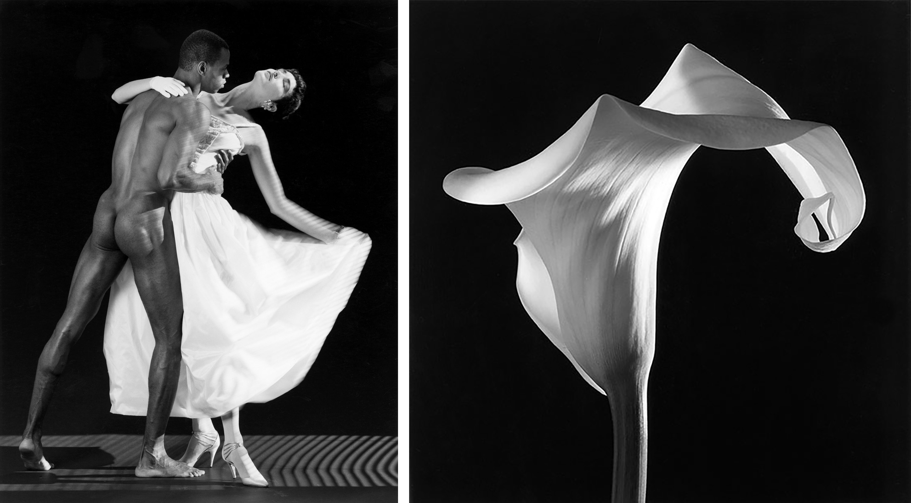 Dimitra Chrona Robert Mapplethorpe schema design robert mapplethorpe onassis cultural center exhibition sgt 10