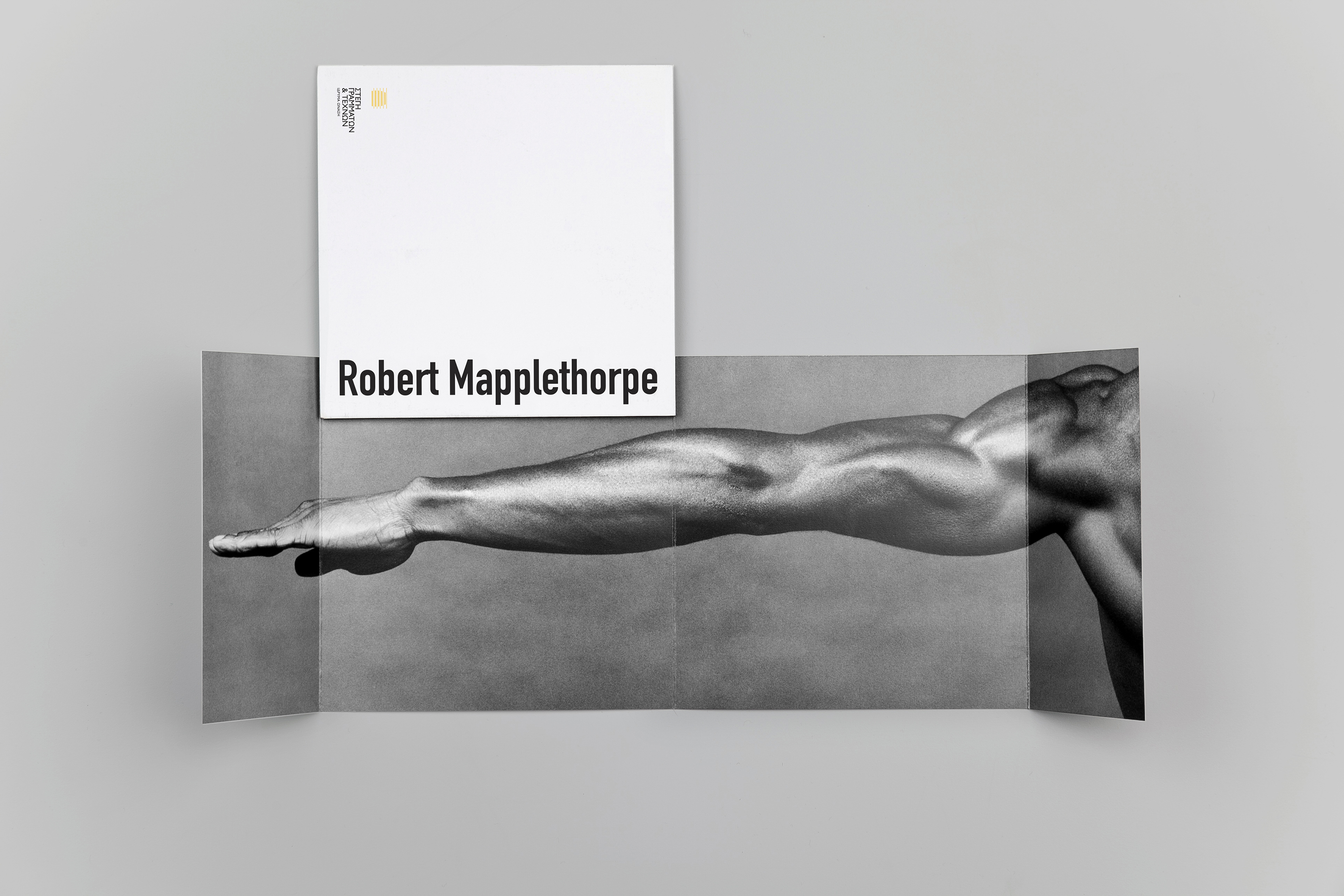 Dimitra Chrona Robert Mapplethorpe schema design robert mapplethorpe onassis cultural center exhibition sgt 3