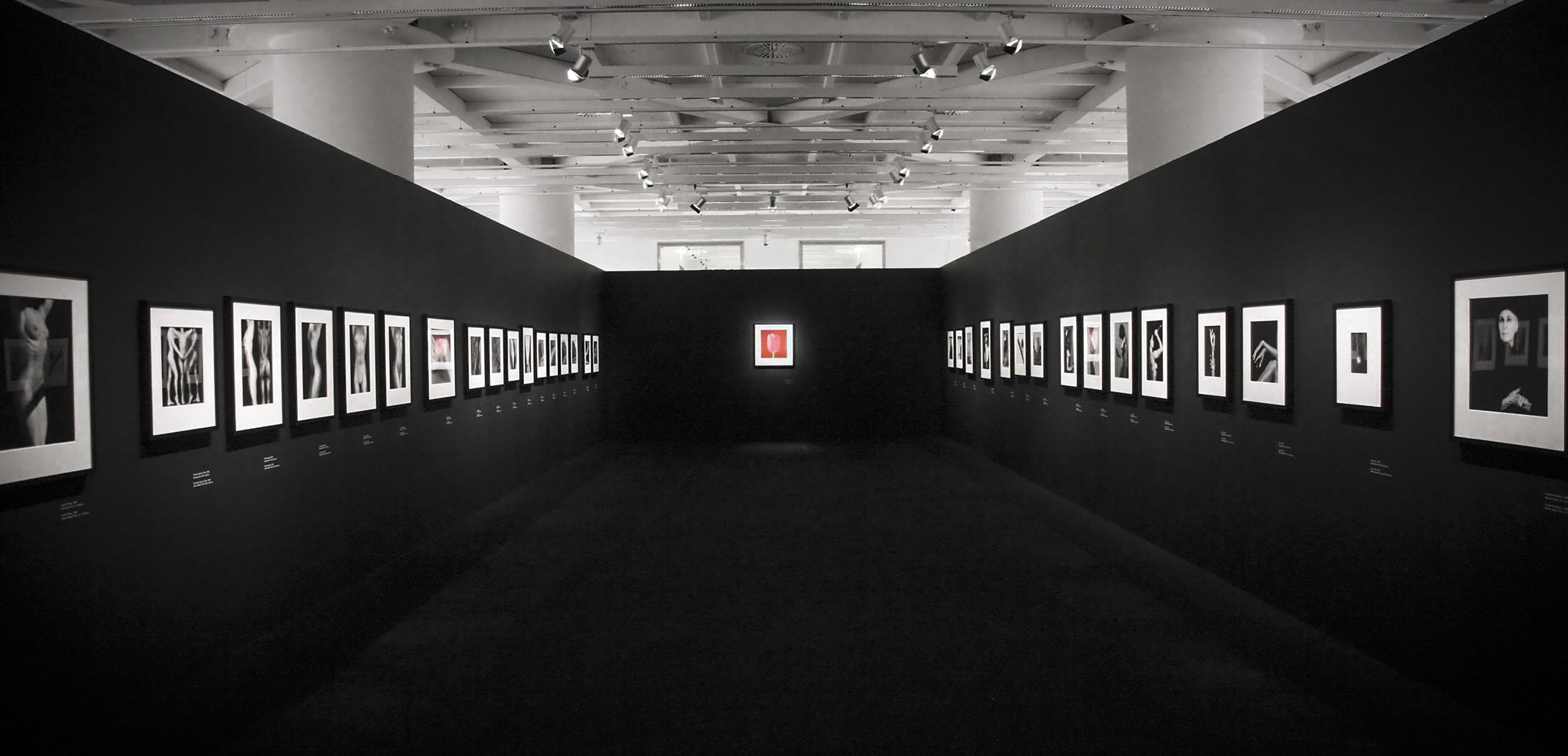 Dimitra Chrona Robert Mapplethorpe schema design robert mapplethorpe onassis cultural center exhibition sgt 6