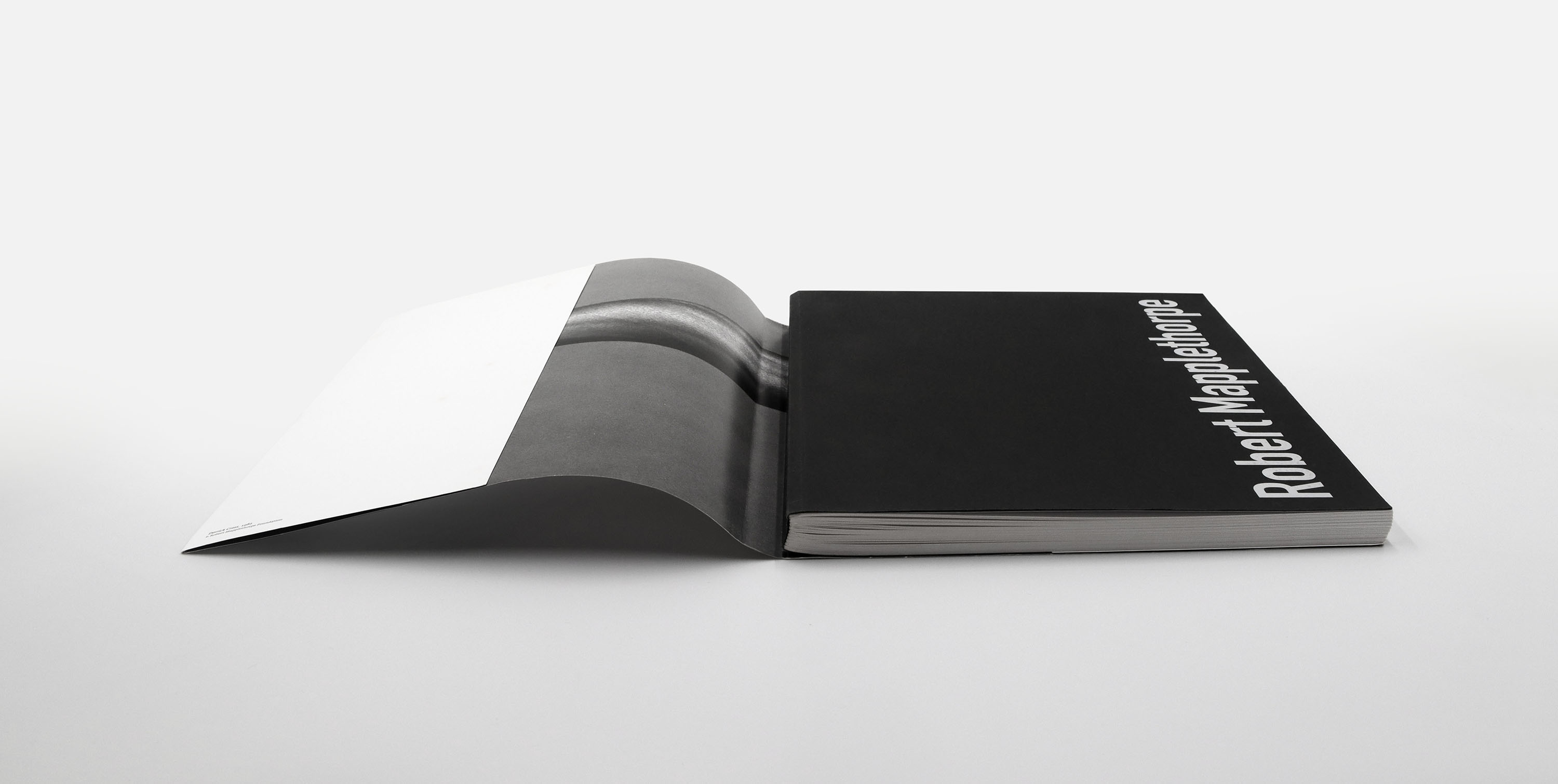 Dimitra Chrona Robert Mapplethorpe schema design robert mapplethorpe onassis cultural center exhibition sgt 9