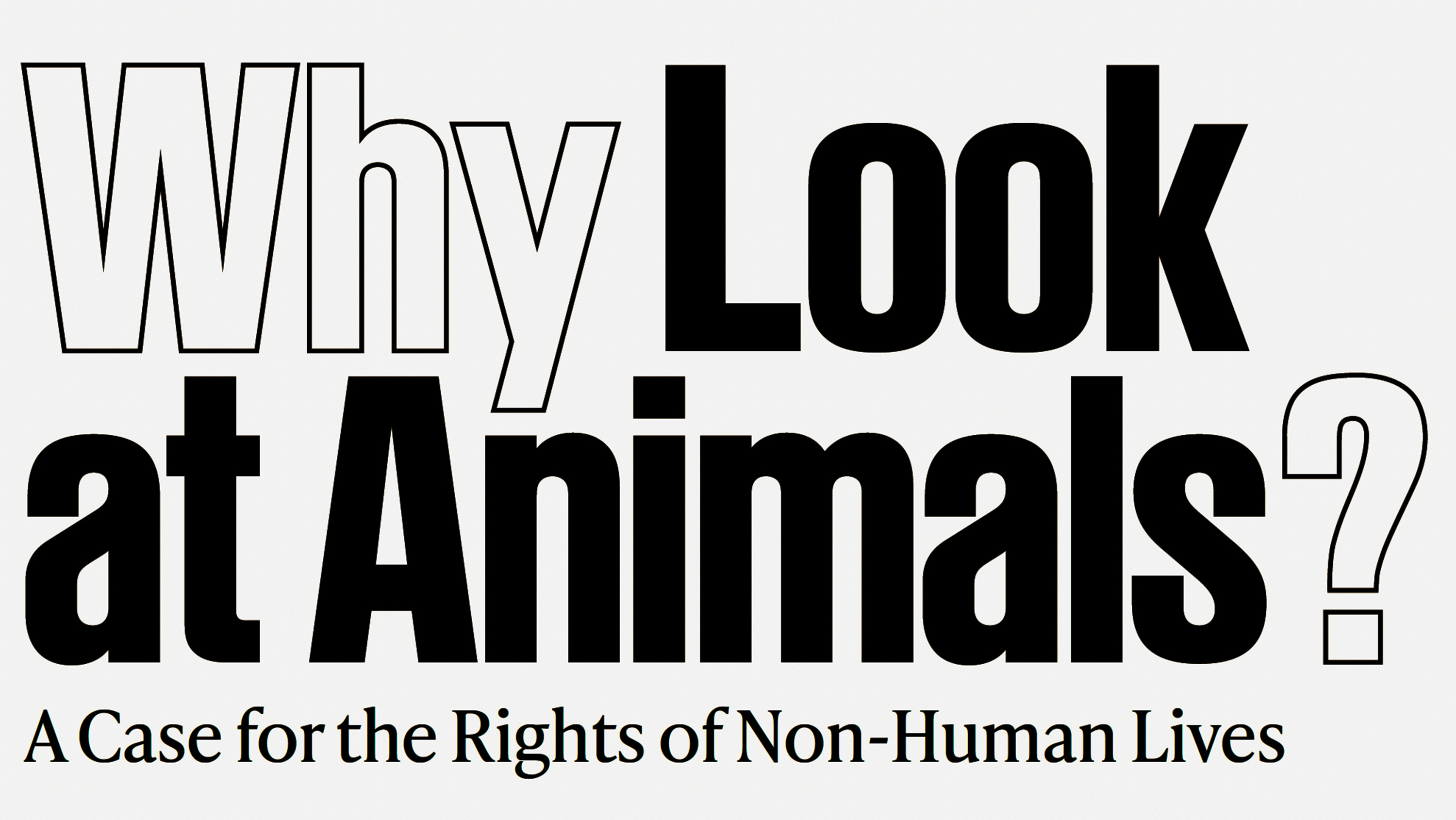 Dimitra Chrona Why Look at Animals? schema design EMST Why Look at Animals exhibition website 1